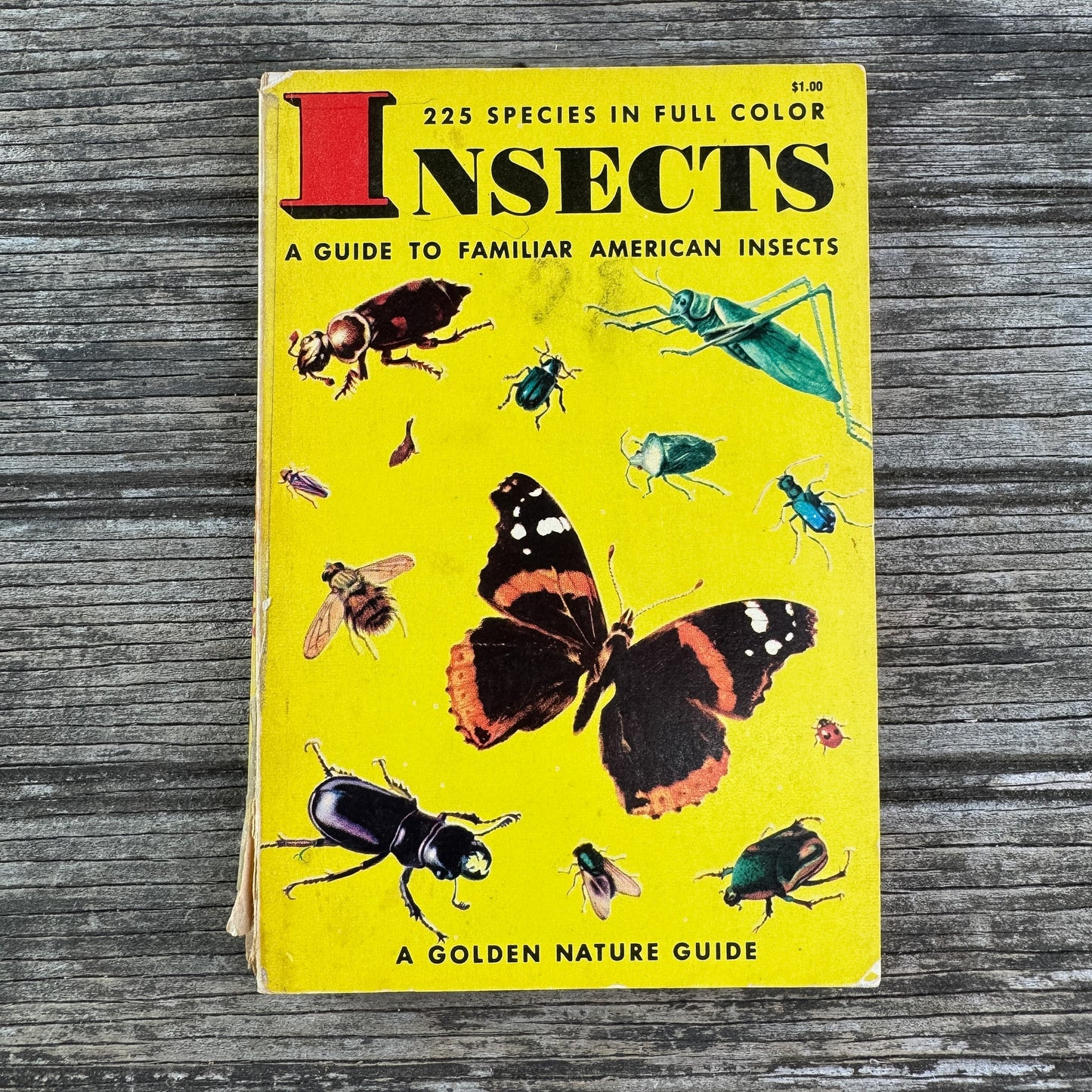 Insects, A Golden Guide, 1956 - Pretty Old Books