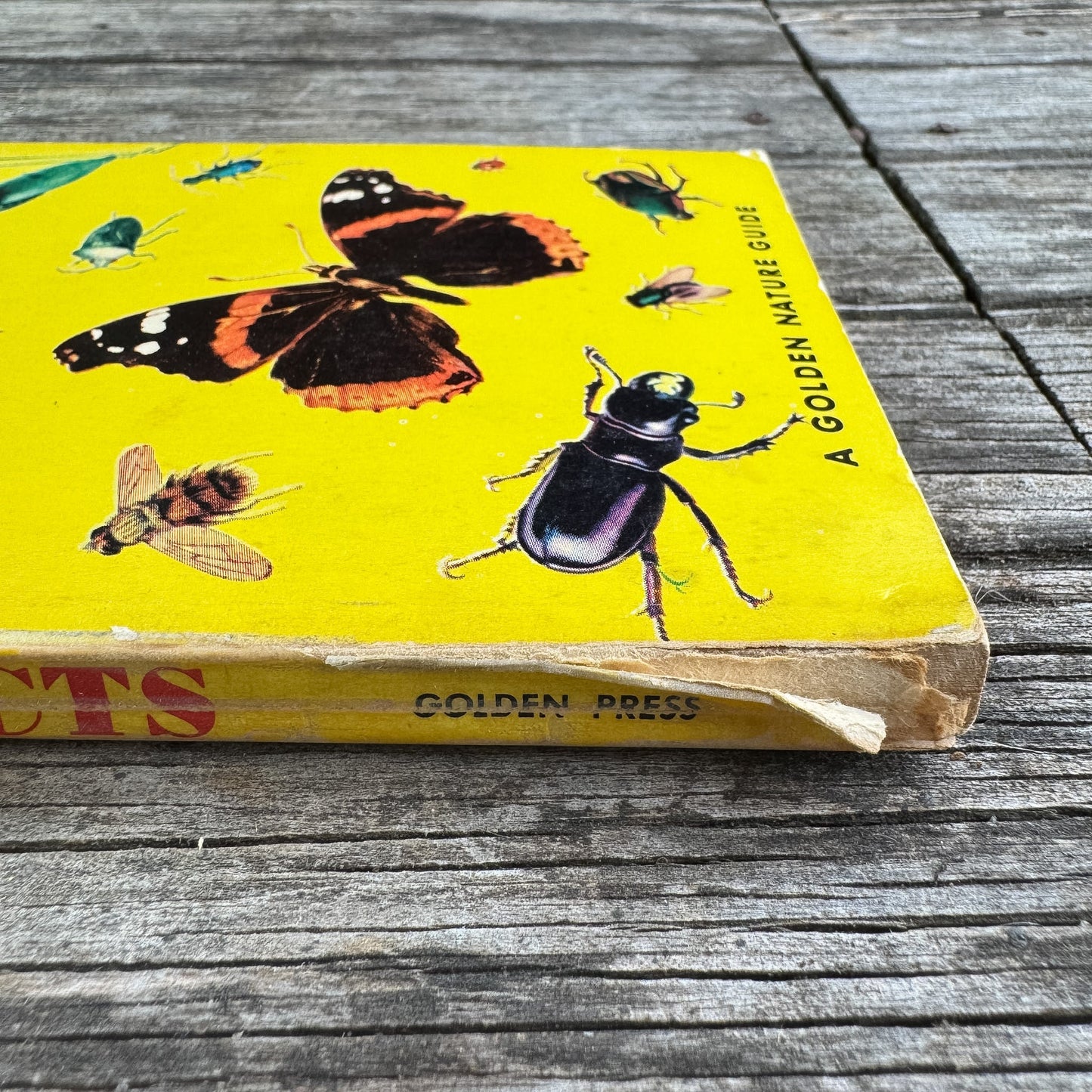 Insects, A Golden Guide, 1956 - Pretty Old Books