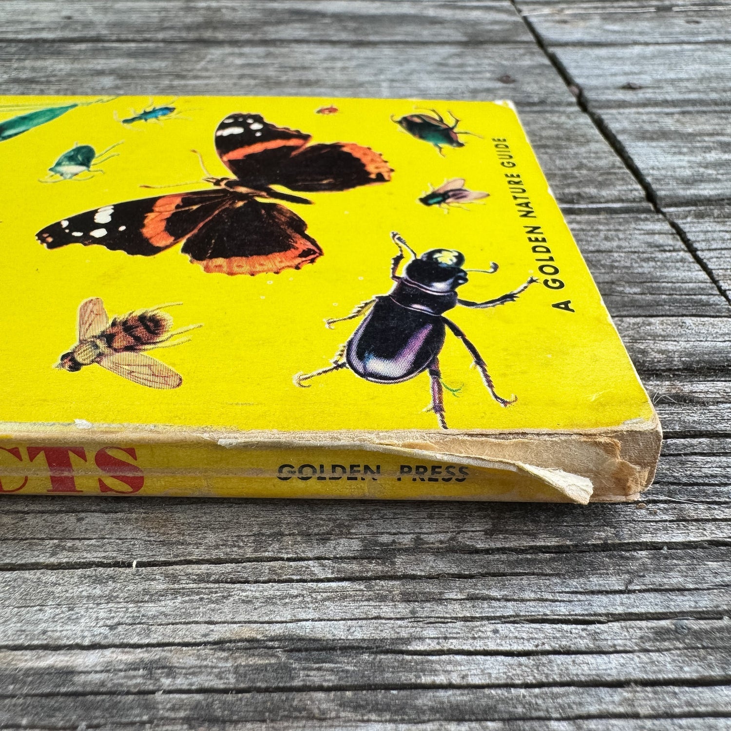 Insects, A Golden Guide, 1956 - Pretty Old Books