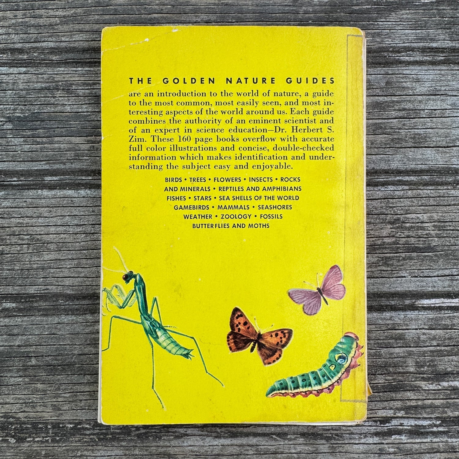 Insects, A Golden Guide, 1956 - Pretty Old Books