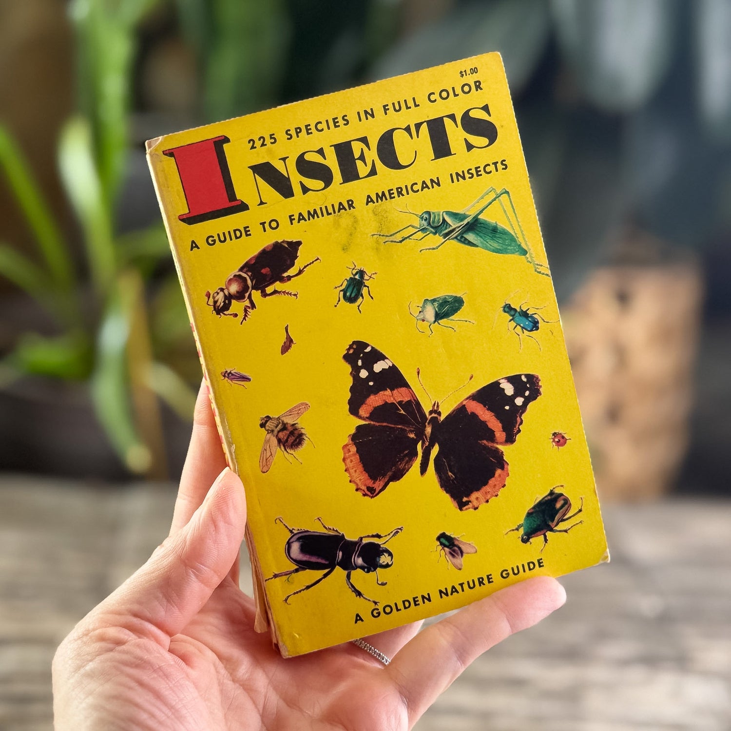 Insects, A Golden Guide, 1956 - Pretty Old Books