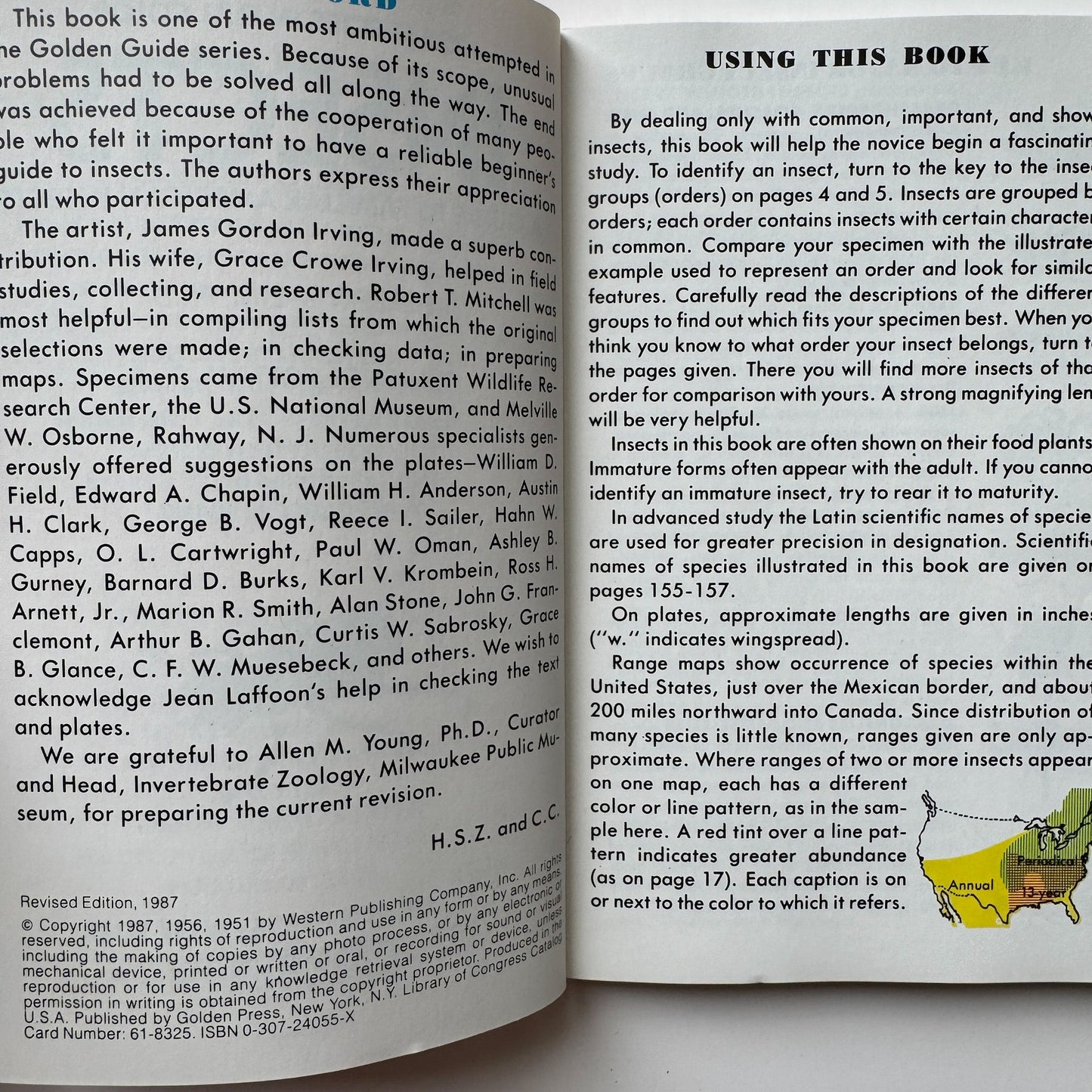 Insects A Golden Guide Paperback, Vintage 1987 - Pretty Old Books