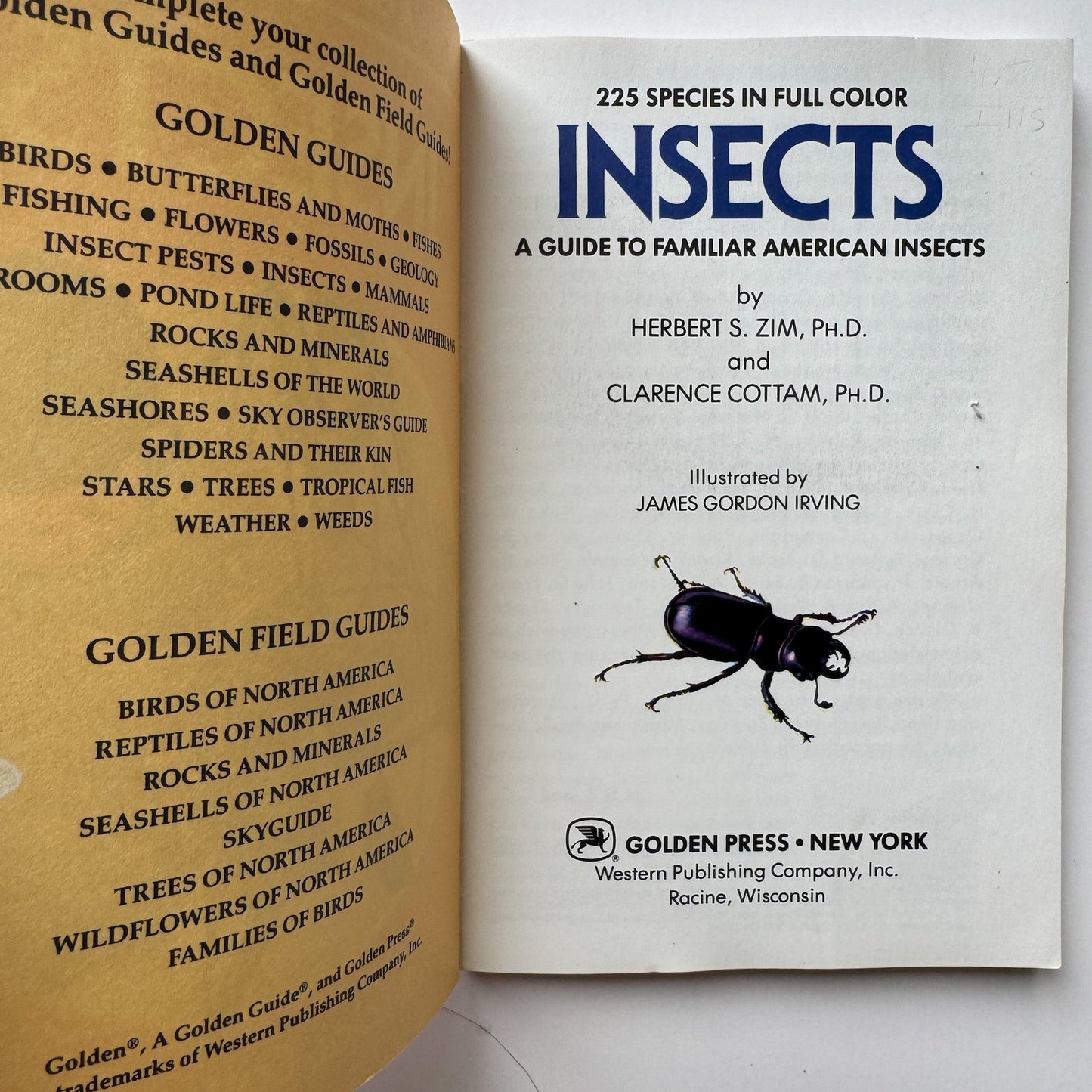 Insects A Golden Guide Paperback, Vintage 1987 - Pretty Old Books