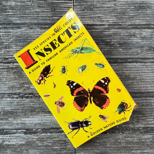 Insects A Golden Guide, Vintage 1963 Yellow Paperback Field Guide - Pretty Old Books