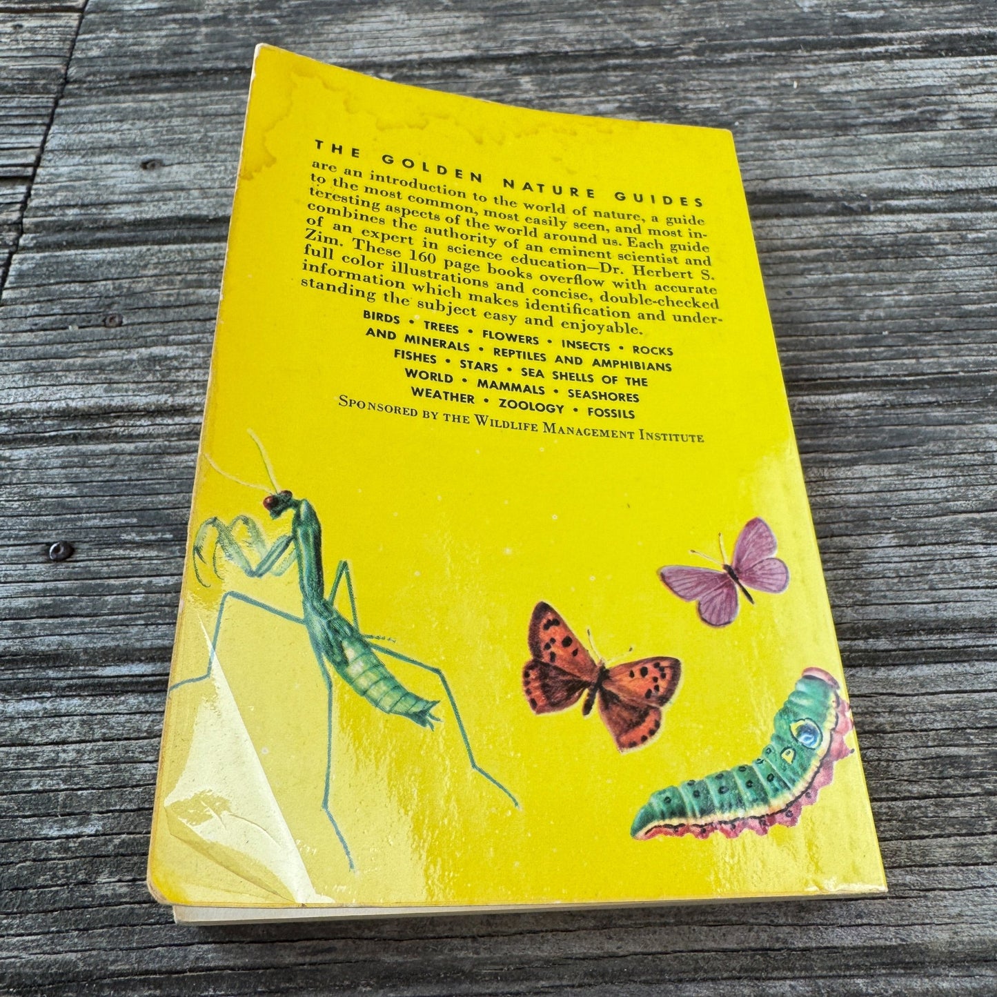 Insects A Golden Guide, Vintage 1963 Yellow Paperback Field Guide - Pretty Old Books