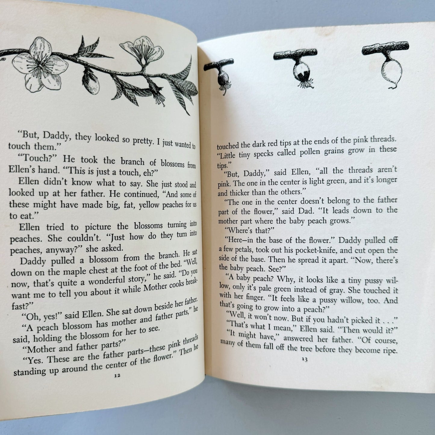 Into the World, Mid - Century Birds and Bees Fiction for Kids, 1950, Emerson and Thompson - Pretty Old Books