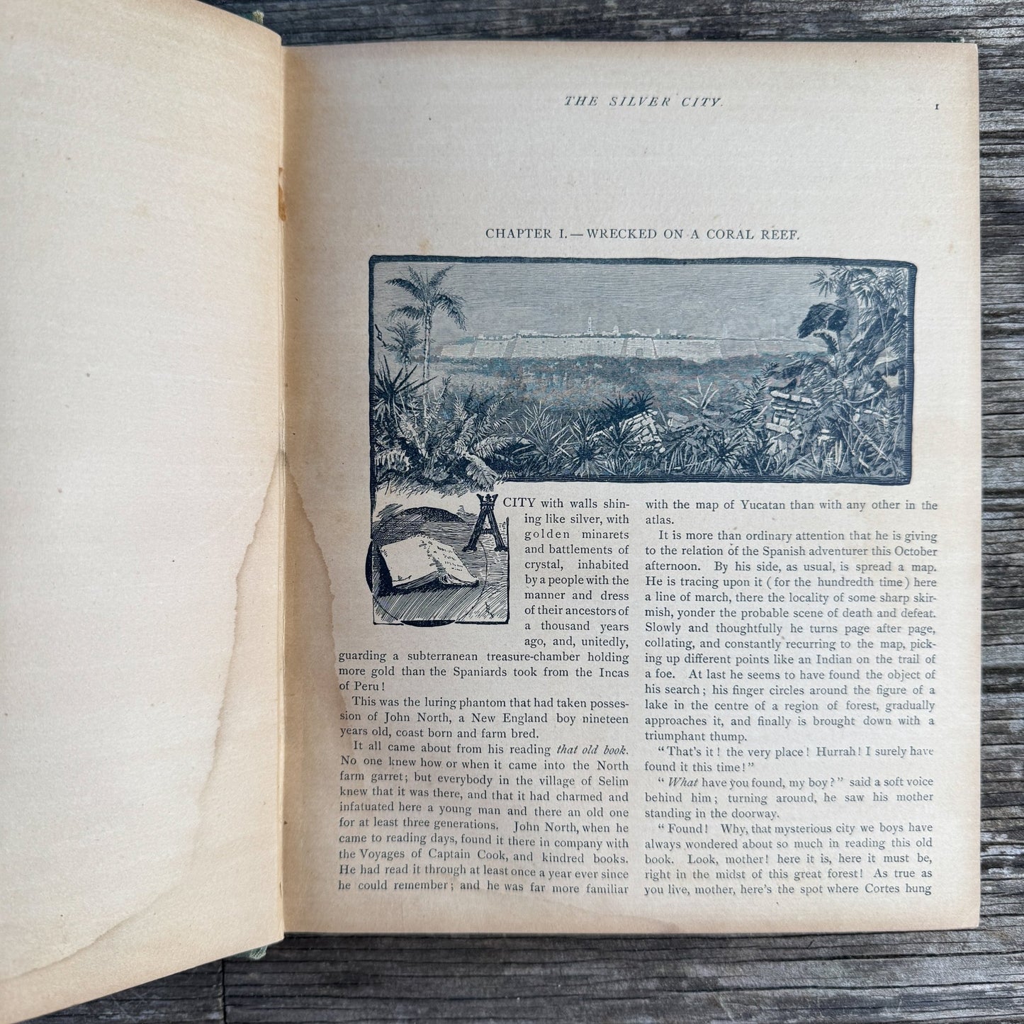 John North in Mexico: The Silver City, Fred A. Ober, 1892 - Pretty Old Books