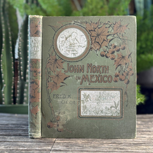 John North in Mexico: The Silver City, Fred A. Ober, 1892 - Pretty Old Books