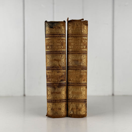 Johnson’s The Animal Kingdom Illustrated, Natural History, Volumes I & II, 1871, Illustrated Natural Antique - Pretty Old Books