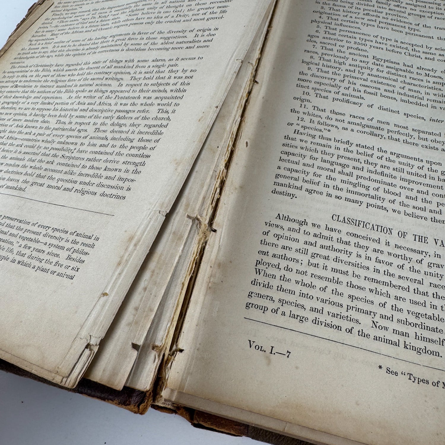 Johnson’s The Animal Kingdom Illustrated, Natural History, Volumes I & II, 1871, Illustrated Natural Antique - Pretty Old Books