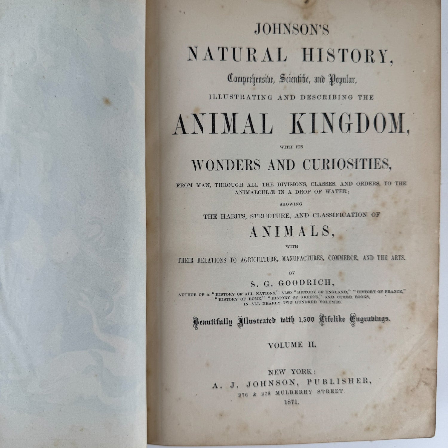Johnson’s The Animal Kingdom Illustrated, Natural History, Volumes I & II, 1871, Illustrated Natural Antique - Pretty Old Books