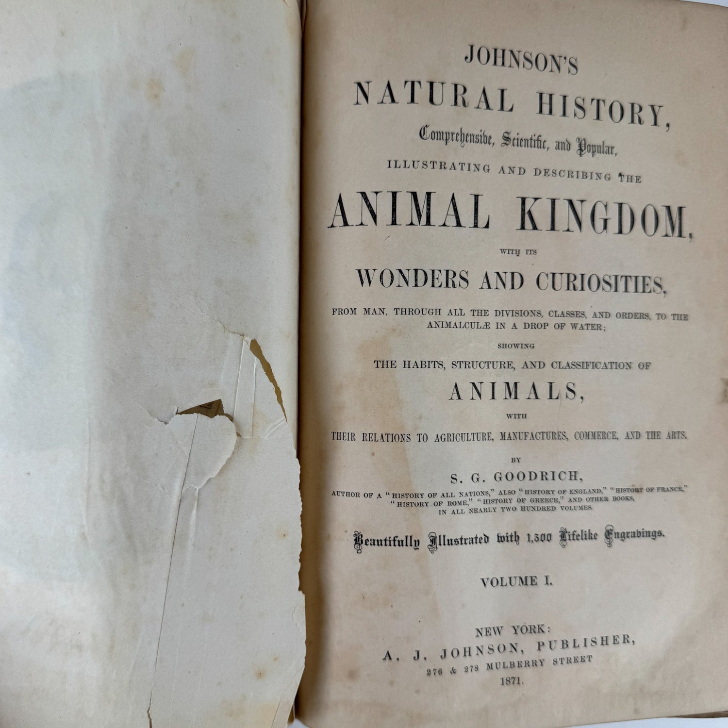 Johnson’s The Animal Kingdom Illustrated, Natural History, Volumes I & II, 1871, Illustrated Natural Antique - Pretty Old Books