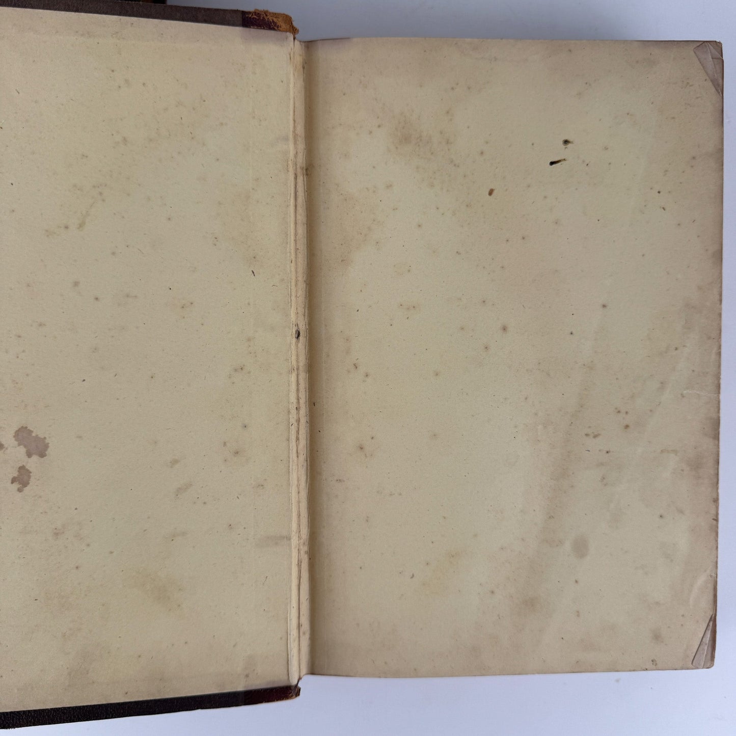 Johnson’s The Animal Kingdom Illustrated, Natural History, Volumes I & II, 1871, Illustrated Natural Antique - Pretty Old Books