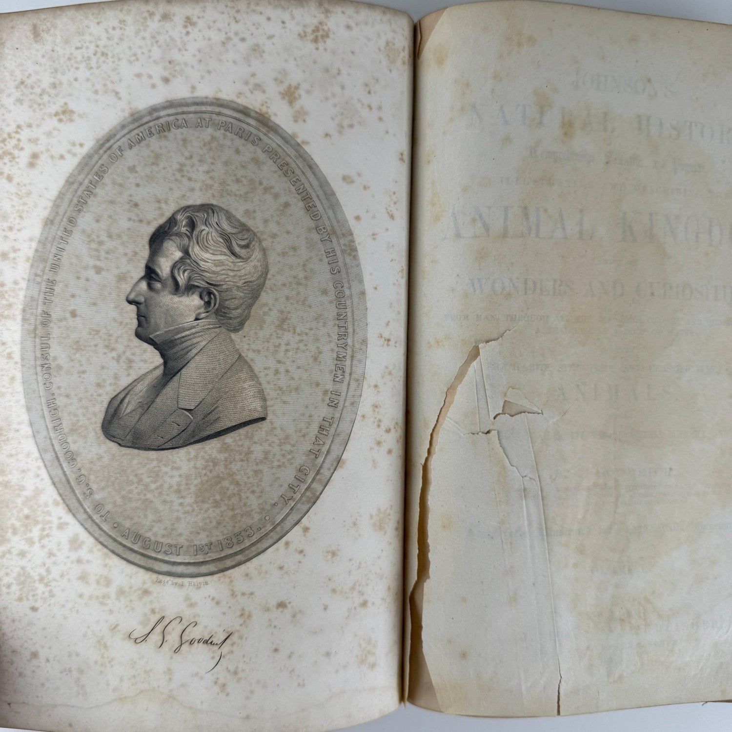 Johnson’s The Animal Kingdom Illustrated, Natural History, Volumes I & II, 1871, Illustrated Natural Antique - Pretty Old Books