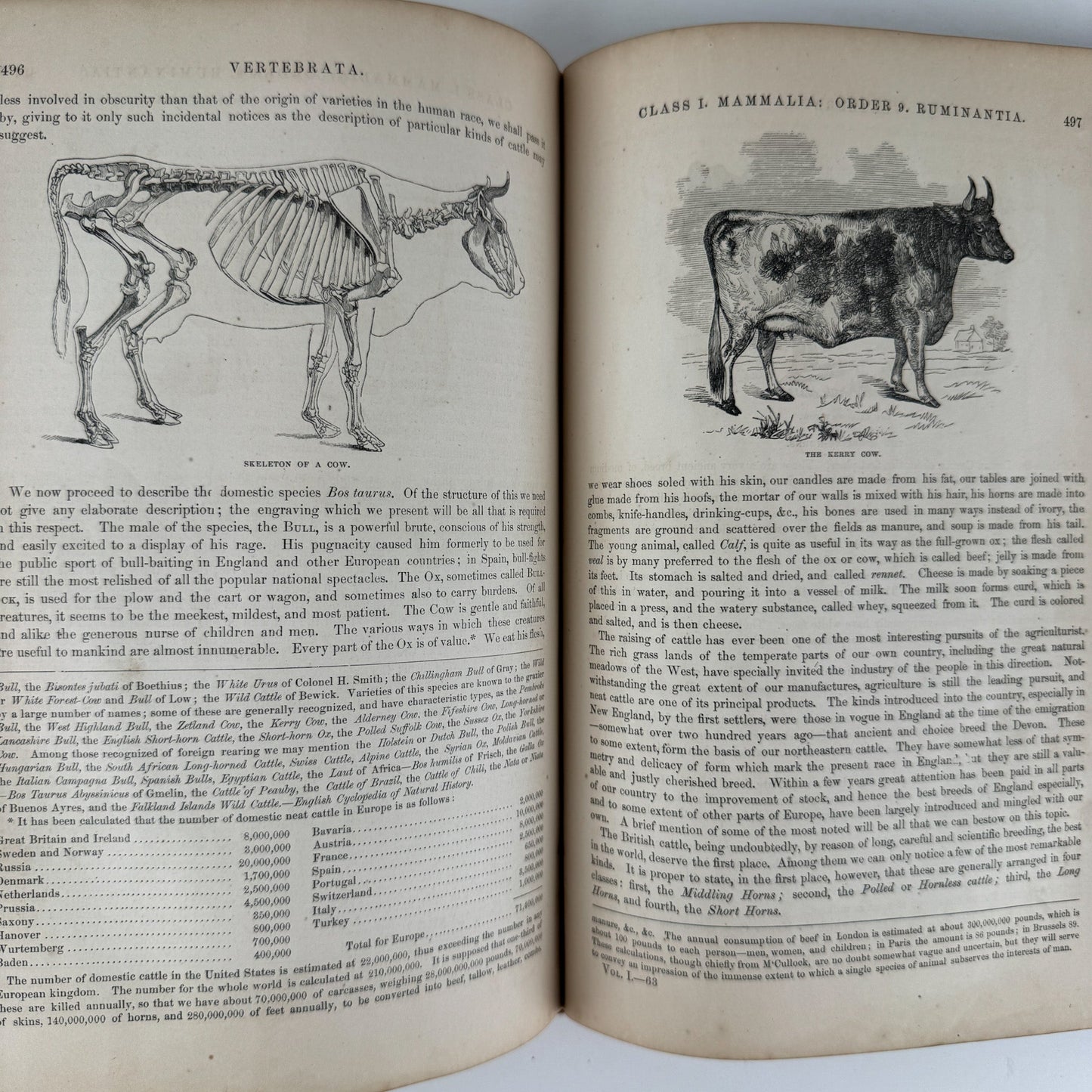 Johnson’s The Animal Kingdom Illustrated, Natural History, Volumes I & II, 1871, Illustrated Natural Antique - Pretty Old Books