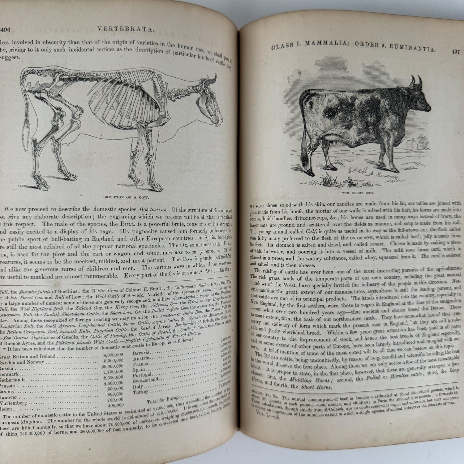 Johnson’s The Animal Kingdom Illustrated, Natural History, Volumes I & II, 1871, Illustrated Natural Antique - Pretty Old Books