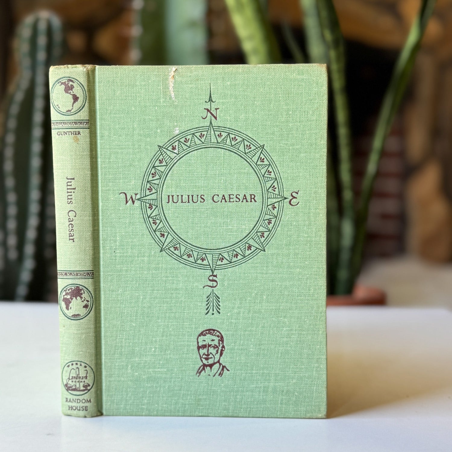 Vintage Children's Nonfiction Books