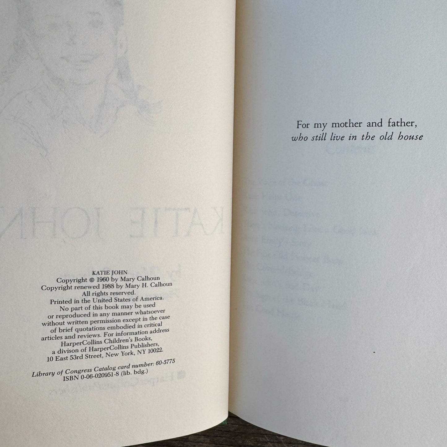 Katie John, Mary Calhoun, Illustrated by Paul Frame, 1988 - Pretty Old Books