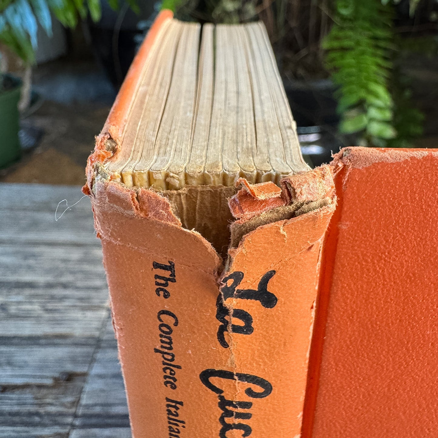 La Cucina, The Complete Italian Cookbook, Rose L. Sorce, 1953 - Pretty Old Books