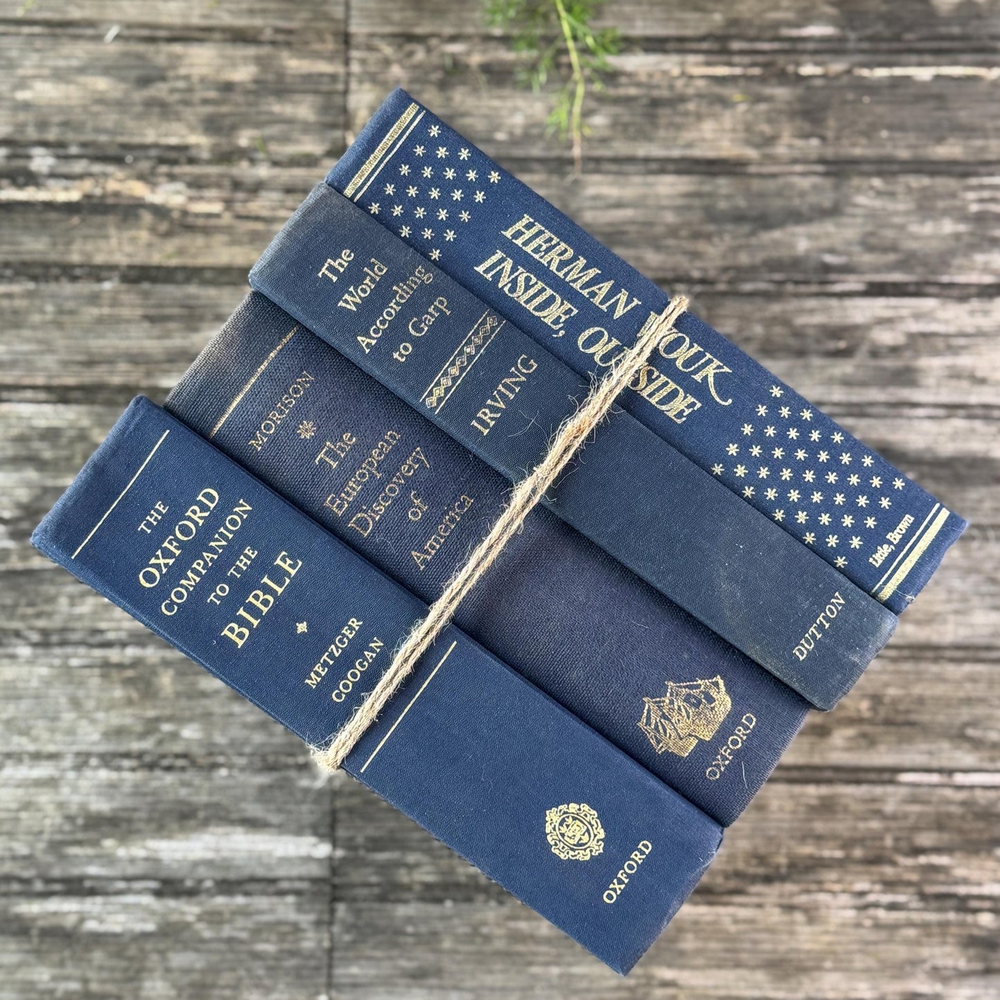 Large Navy Blue Mid Century Literary Hardcover Book Bundle for Shelf Styling - Pretty Old Books