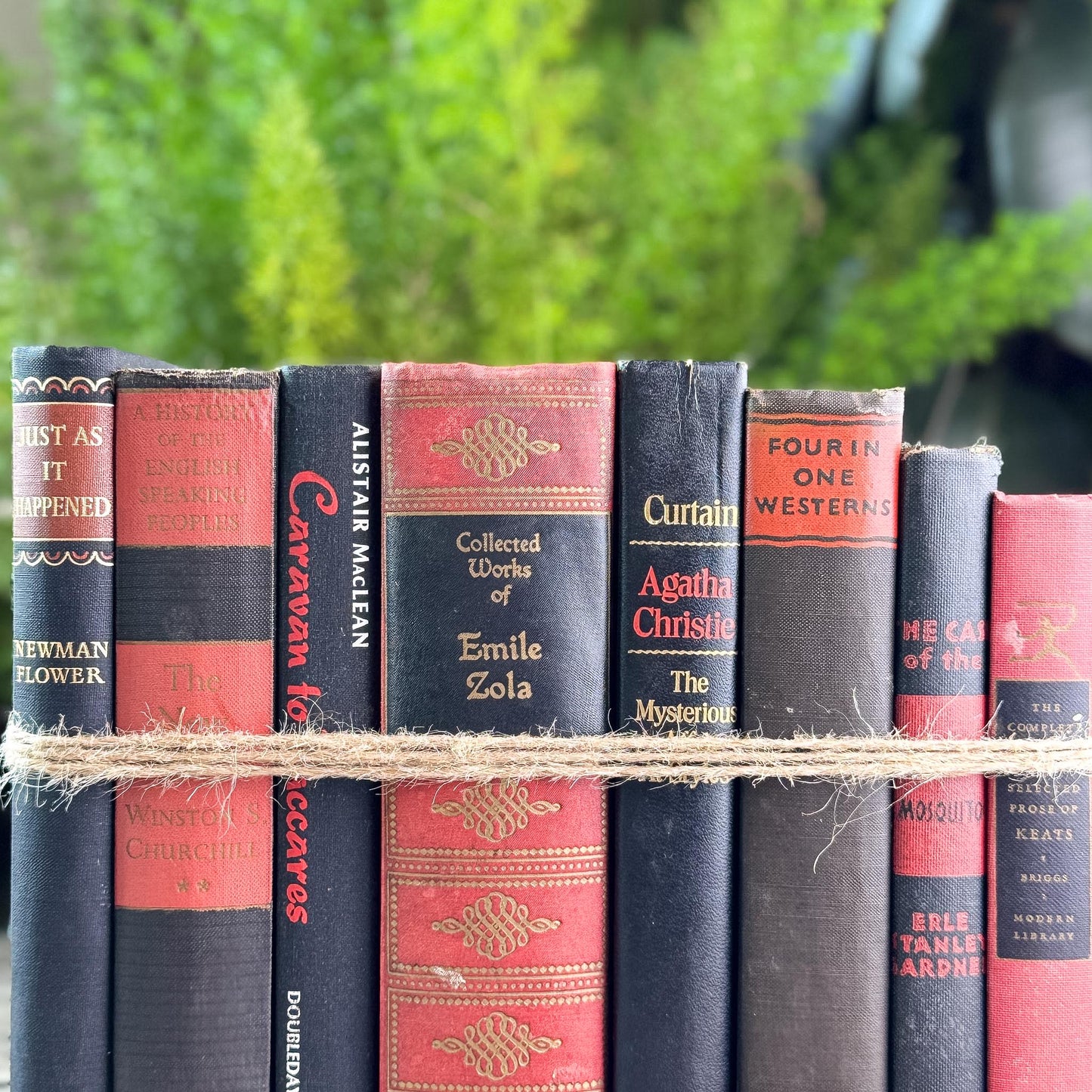 Large Red, Black, and Gold Ornate Decorative Book Bundle - Pretty Old Books