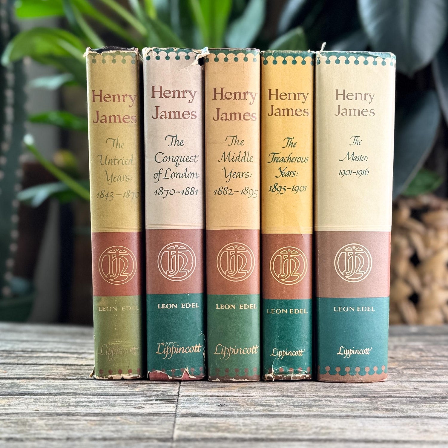 Multi-Color Vintage Book Bundles