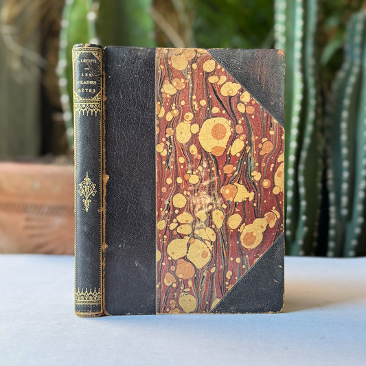 Les Vilaines Bêtes (The Nasty Beasts), Armand Leyritz, c.1890s, Illustrated French Natural History Book - Pretty Old Books