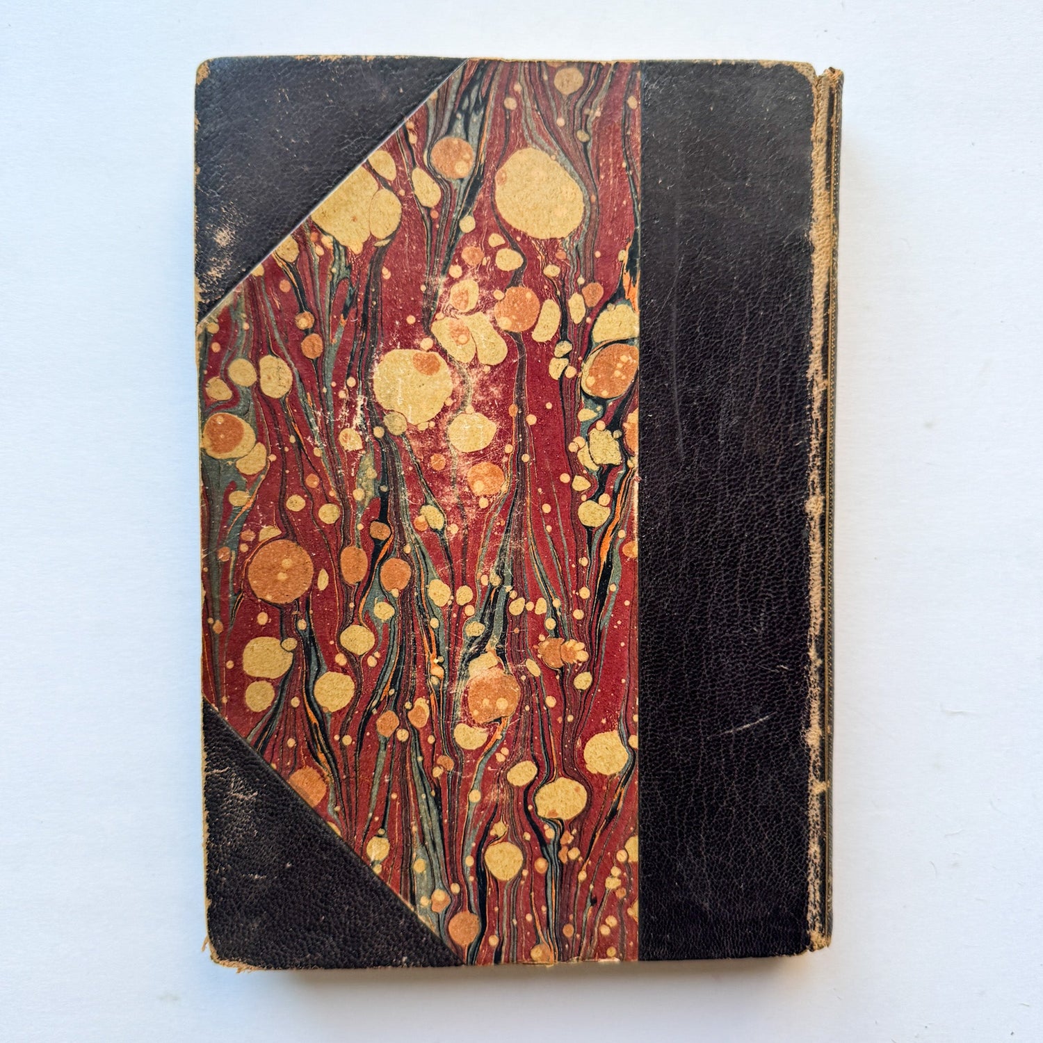 Les Vilaines Bêtes (The Nasty Beasts), Armand Leyritz, c.1890s, Illustrated French Natural History Book - Pretty Old Books