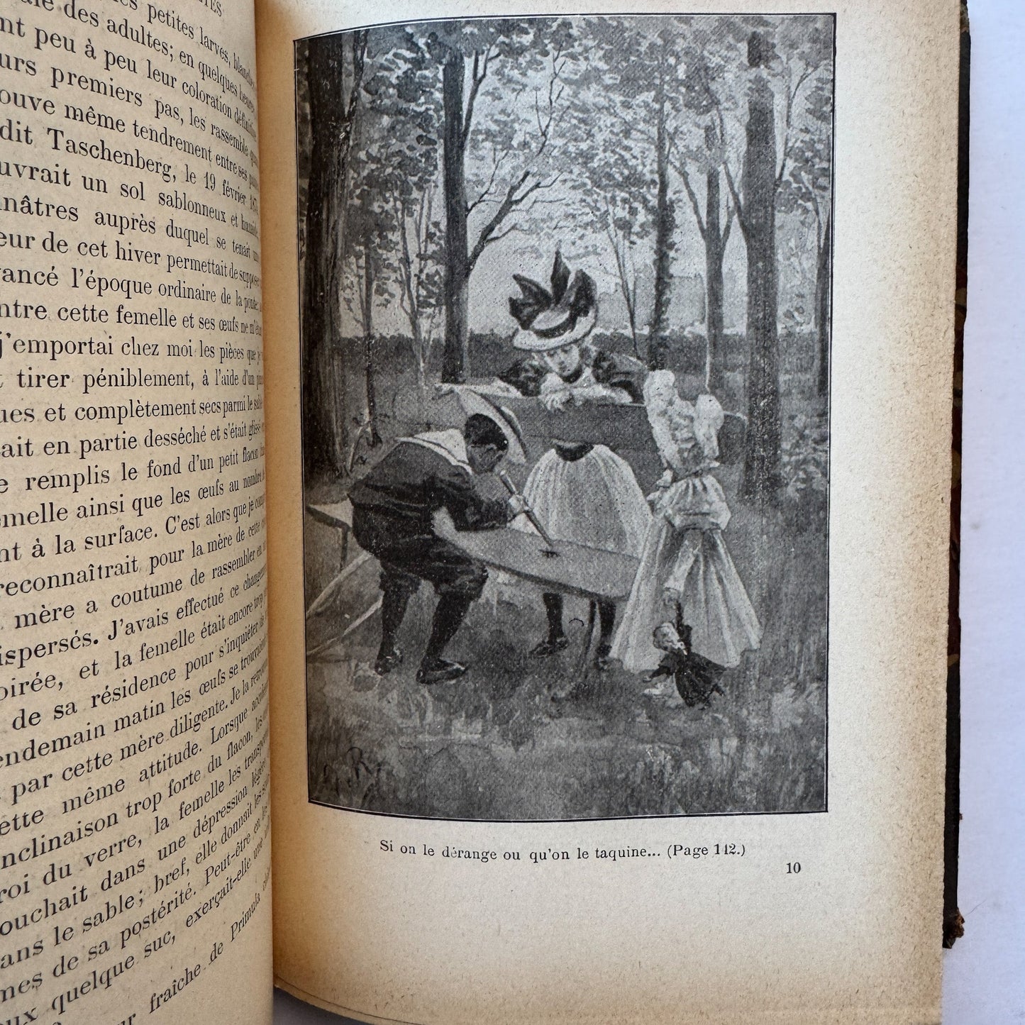 Les Vilaines Bêtes (The Nasty Beasts), Armand Leyritz, c.1890s, Illustrated French Natural History Book - Pretty Old Books