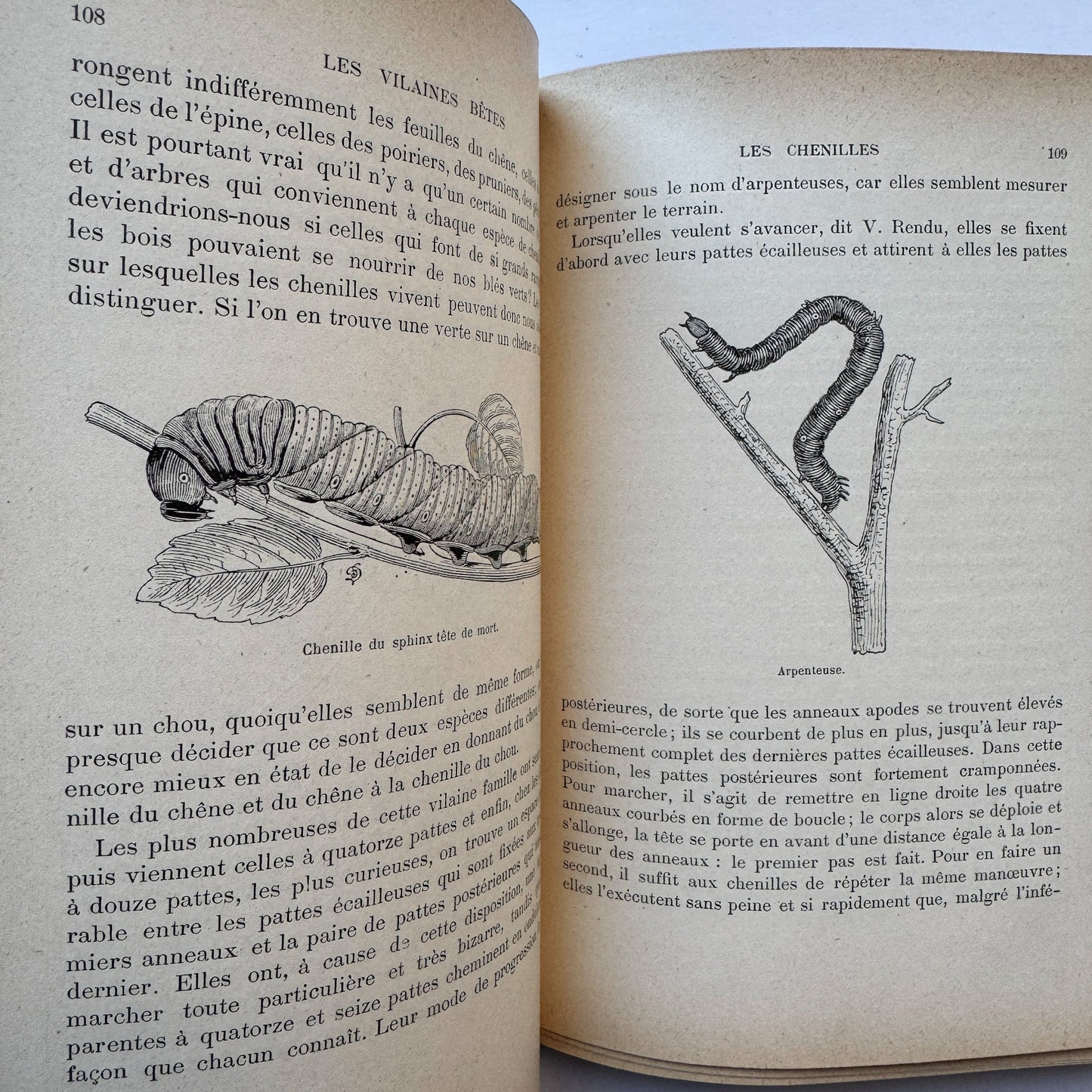 Les Vilaines Bêtes (The Nasty Beasts), Armand Leyritz, c.1890s, Illustrated French Natural History Book - Pretty Old Books