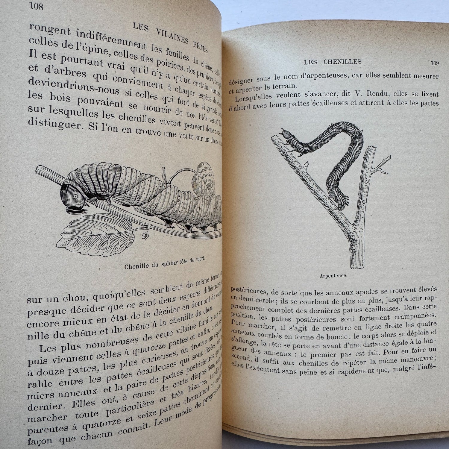 Les Vilaines Bêtes (The Nasty Beasts), Armand Leyritz, c.1890s, Illustrated French Natural History Book - Pretty Old Books
