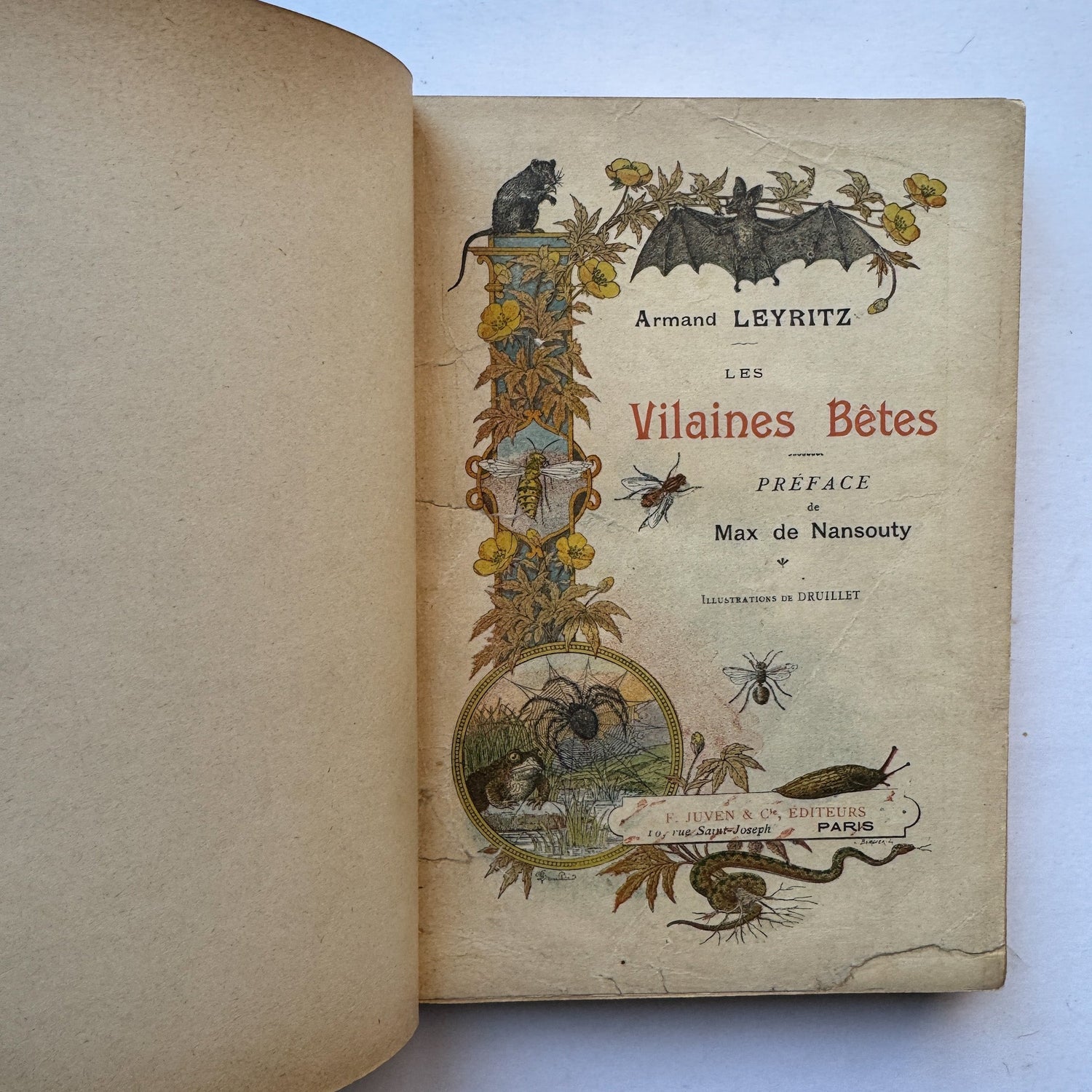 Les Vilaines Bêtes (The Nasty Beasts), Armand Leyritz, c.1890s, Illustrated French Natural History Book - Pretty Old Books
