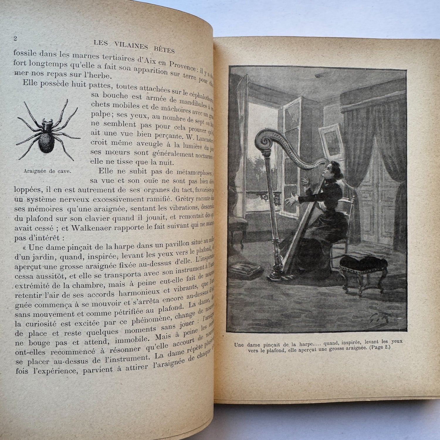 Les Vilaines Bêtes (The Nasty Beasts), Armand Leyritz, c.1890s, Illustrated French Natural History Book - Pretty Old Books