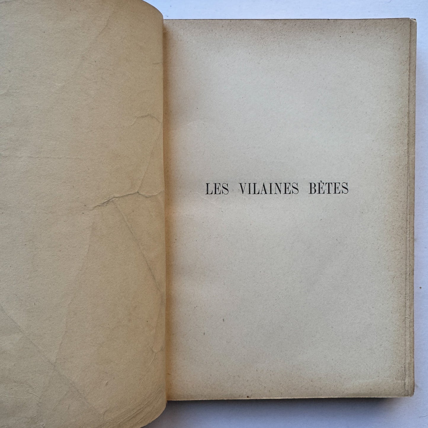 Les Vilaines Bêtes (The Nasty Beasts), Armand Leyritz, c.1890s, Illustrated French Natural History Book - Pretty Old Books