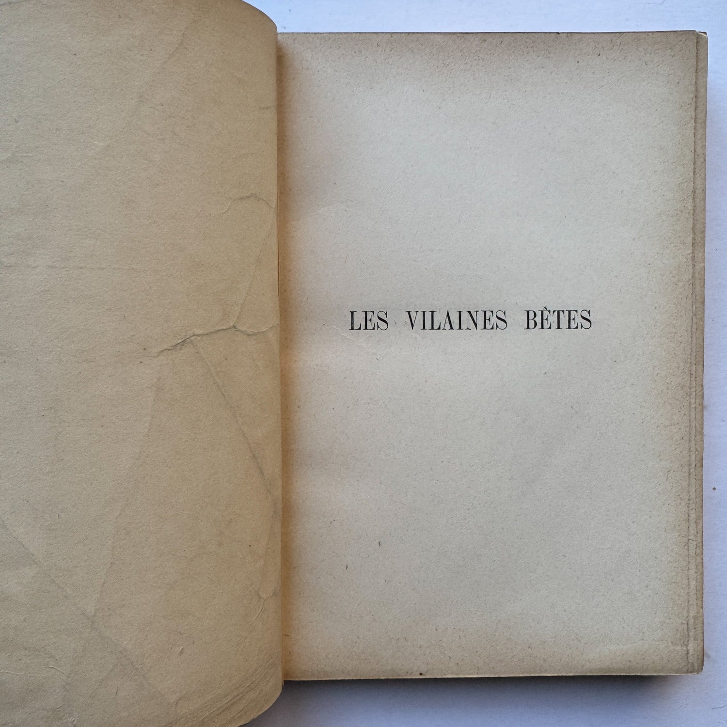 Les Vilaines Bêtes (The Nasty Beasts), Armand Leyritz, c.1890s, Illustrated French Natural History Book - Pretty Old Books