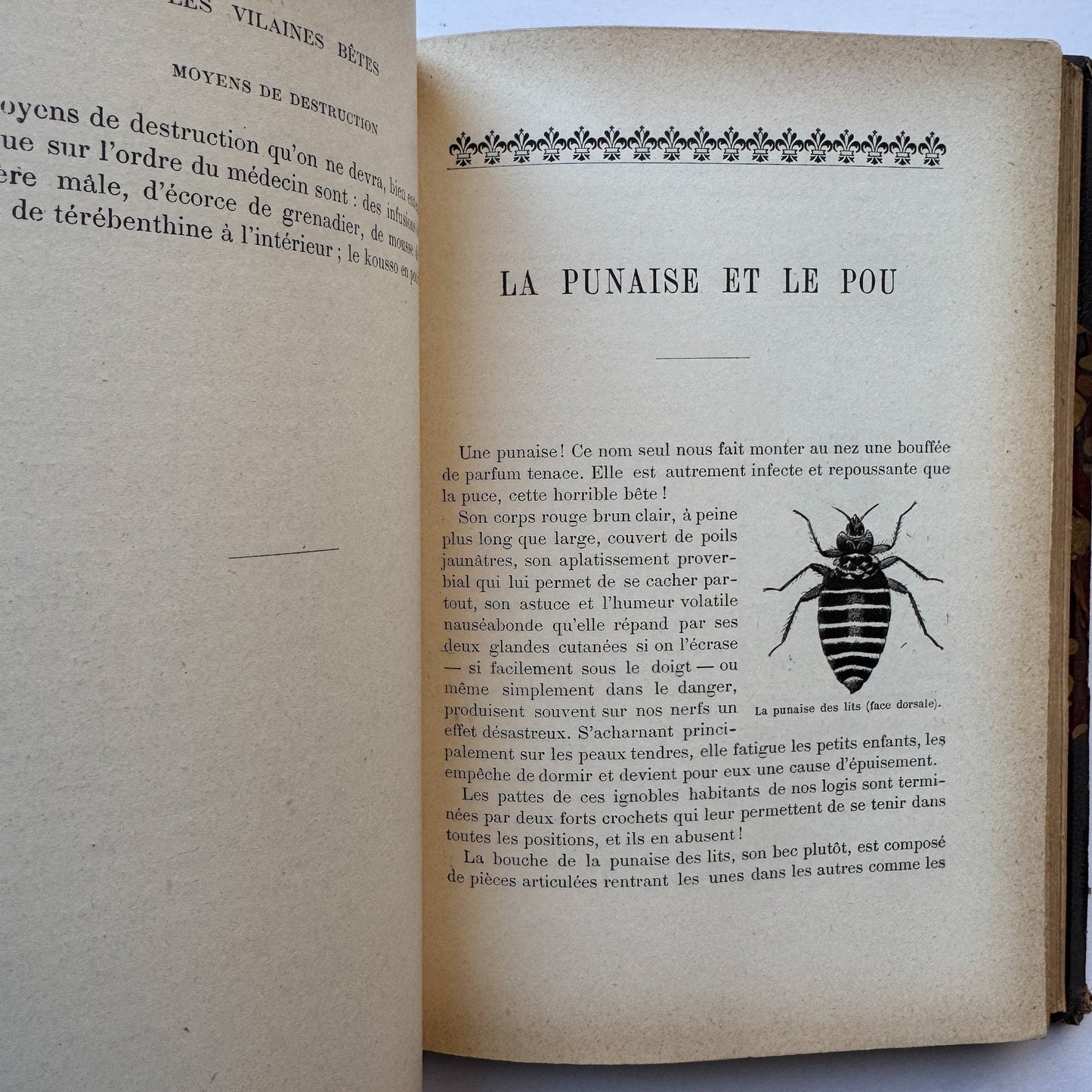 Les Vilaines Bêtes (The Nasty Beasts), Armand Leyritz, c.1890s, Illustrated French Natural History Book - Pretty Old Books