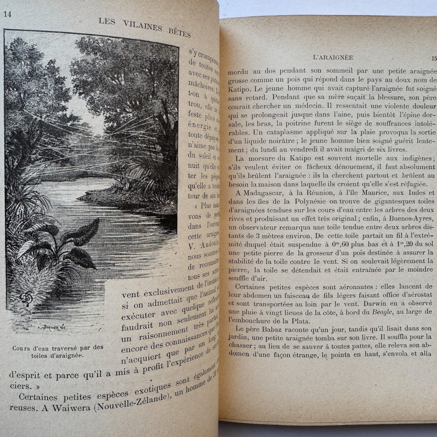 Les Vilaines Bêtes (The Nasty Beasts), Armand Leyritz, c.1890s, Illustrated French Natural History Book - Pretty Old Books