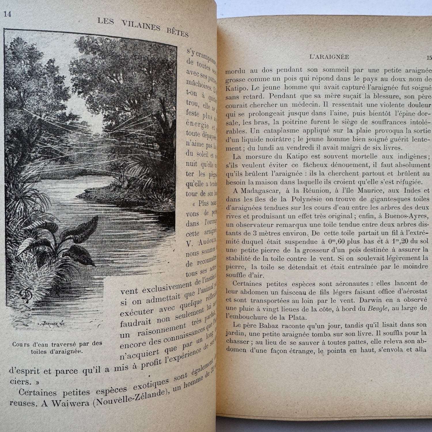 Les Vilaines Bêtes (The Nasty Beasts), Armand Leyritz, c.1890s, Illustrated French Natural History Book - Pretty Old Books