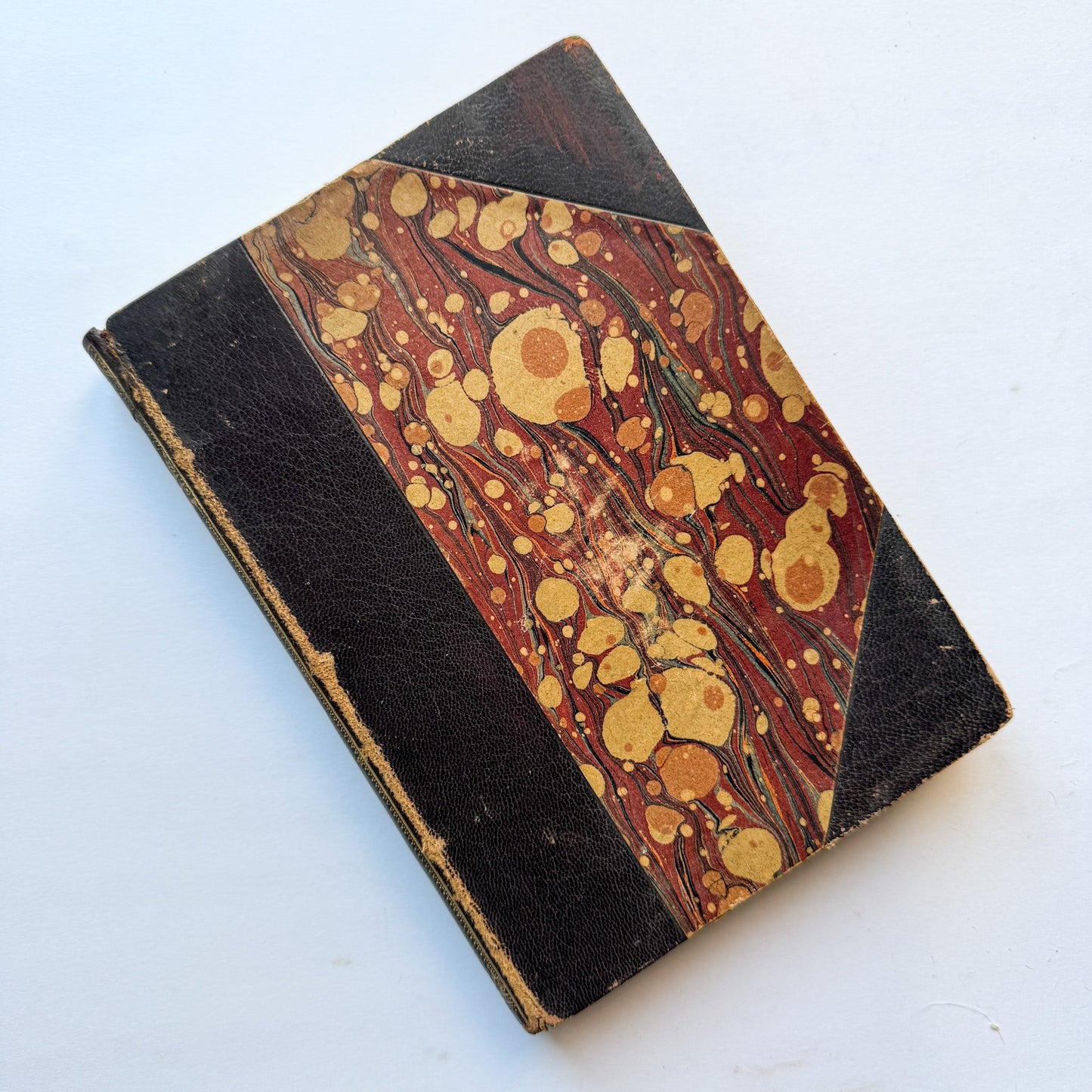 Les Vilaines Bêtes (The Nasty Beasts), Armand Leyritz, c.1890s, Illustrated French Natural History Book - Pretty Old Books