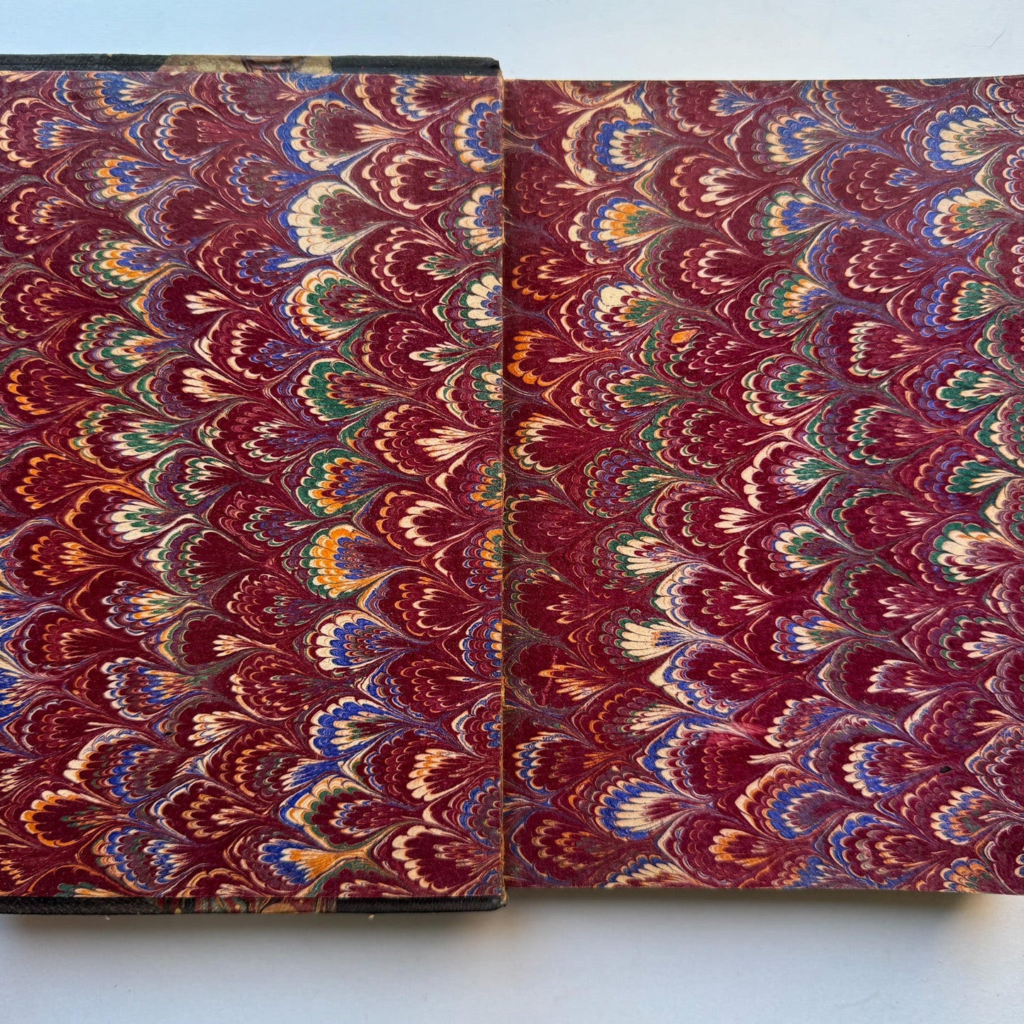 Les Vilaines Bêtes (The Nasty Beasts), Armand Leyritz, c.1890s, Illustrated French Natural History Book - Pretty Old Books