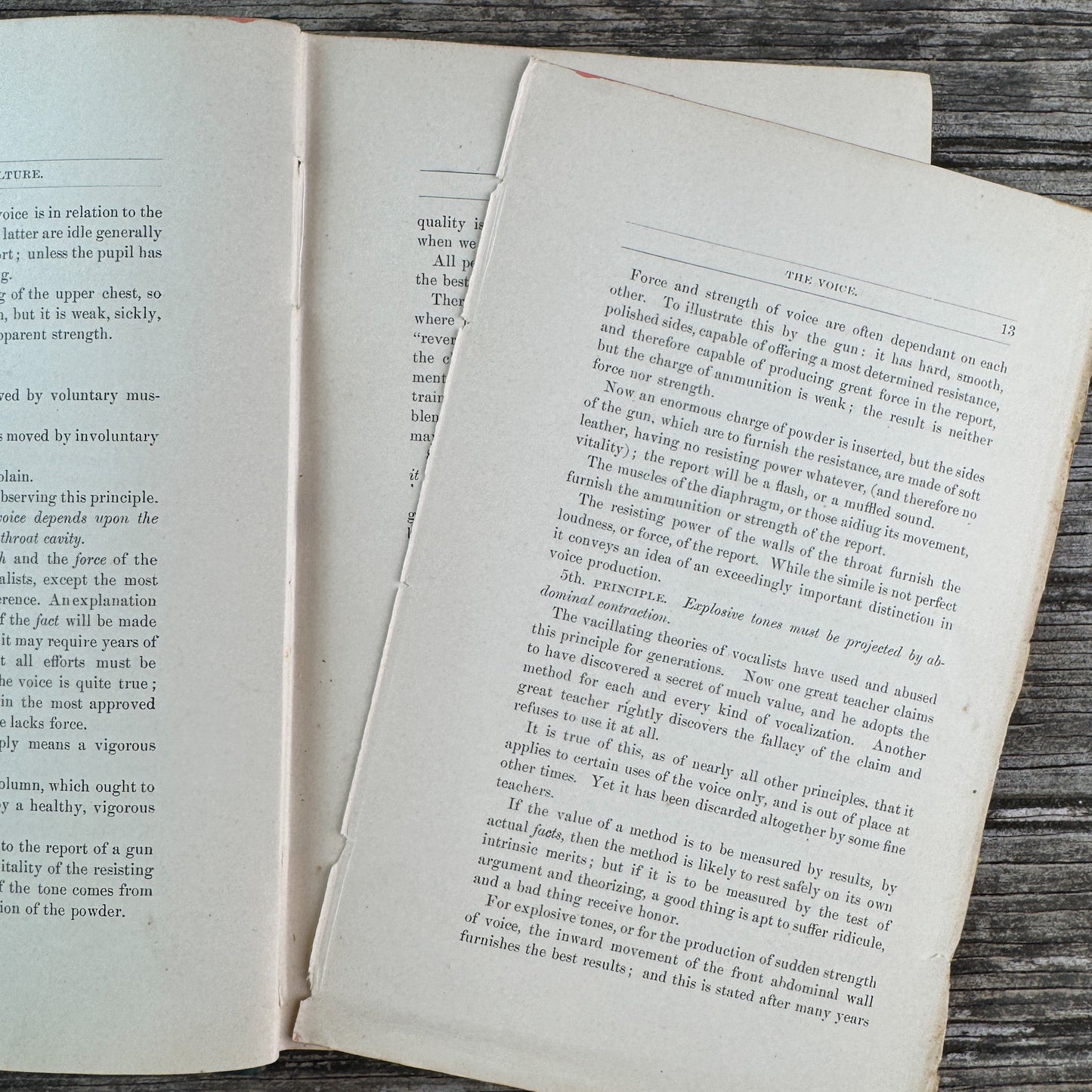 Lessons in Voice Culture: The Perfect Method, Edmund Shaftesbury, 1889 - Pretty Old Books