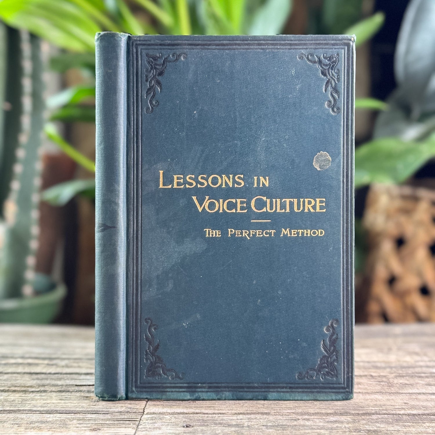 Lessons in Voice Culture: The Perfect Method, Edmund Shaftesbury, 1889 - Pretty Old Books