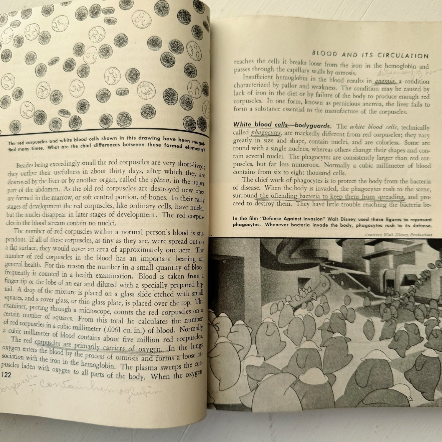 Life and Health, Mid Century 1945 Health Class High School Book - Pretty Old Books