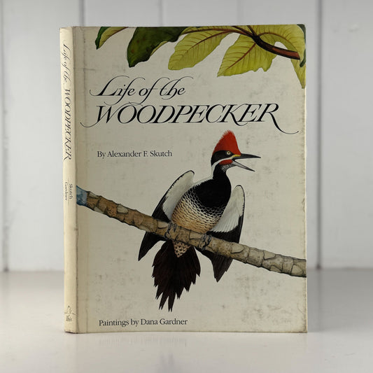 Life of the Woodpecker, Alexander F. Skutch, 1985 Ornithology Illustrated Book - Pretty Old Books