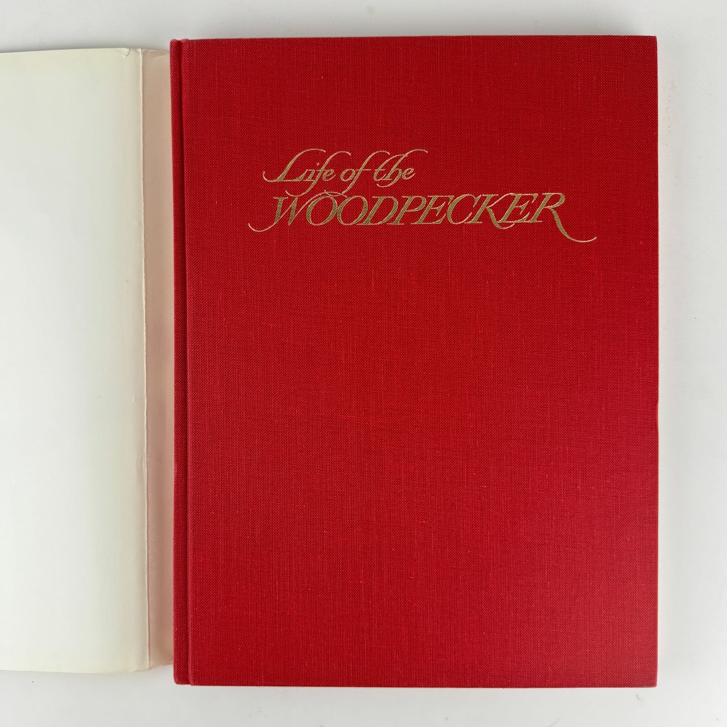 Life of the Woodpecker, Alexander F. Skutch, 1985 Ornithology Illustrated Book - Pretty Old Books