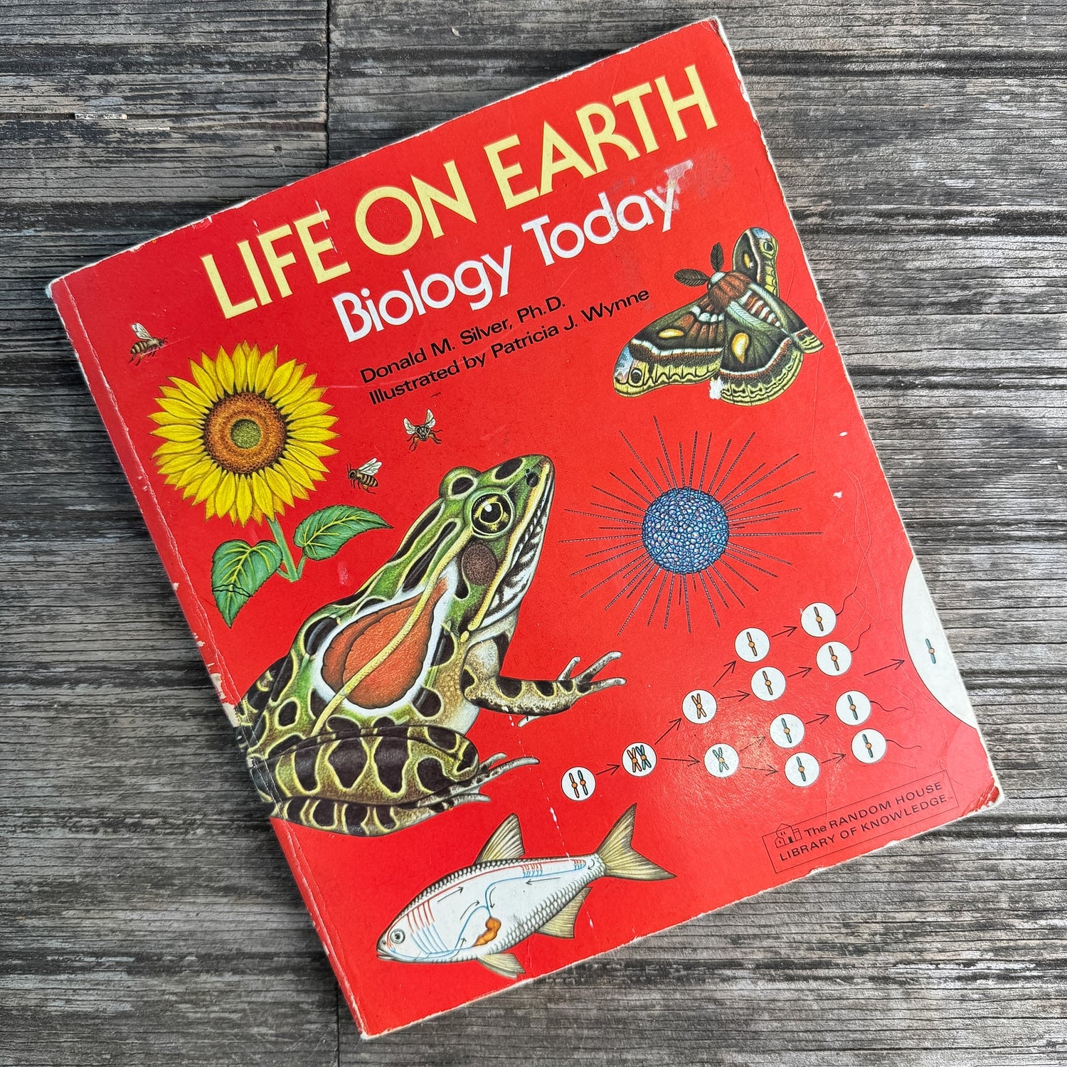 Life on Earth: Biology Today, Donald M. Silver, 1983 - Pretty Old Books