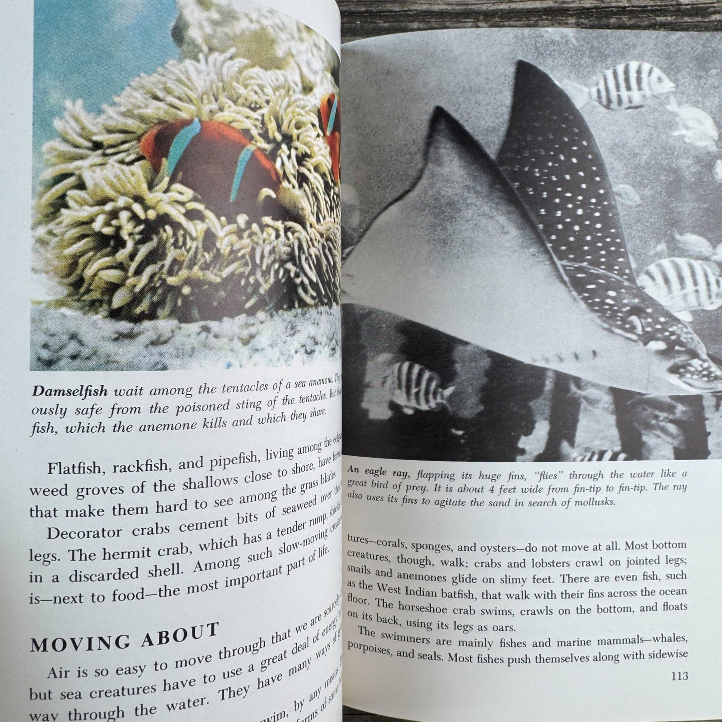Life: The World We Live In, Paperback, 1967 - Pretty Old Books