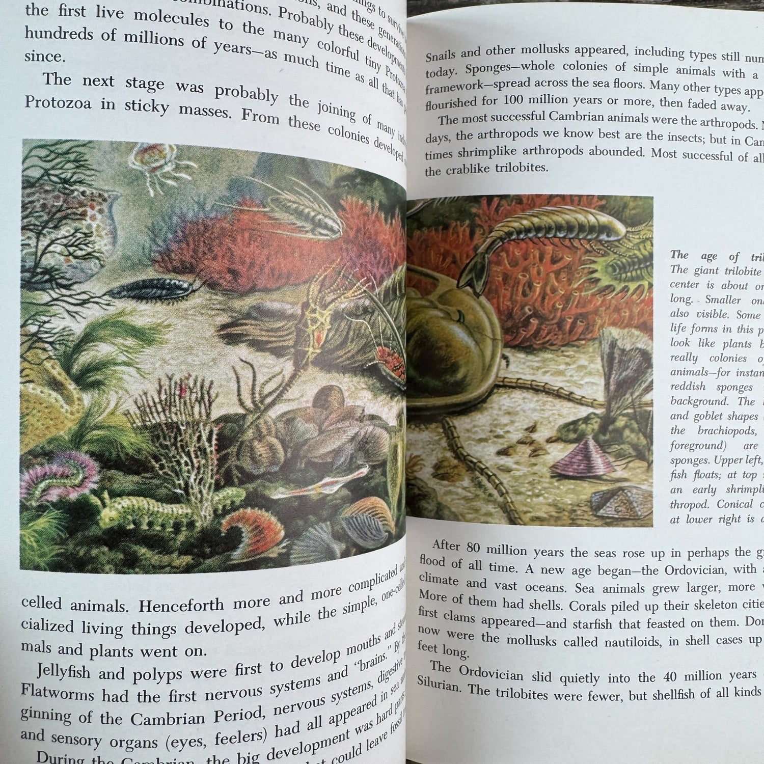 Life: The World We Live In, Paperback, 1967 - Pretty Old Books