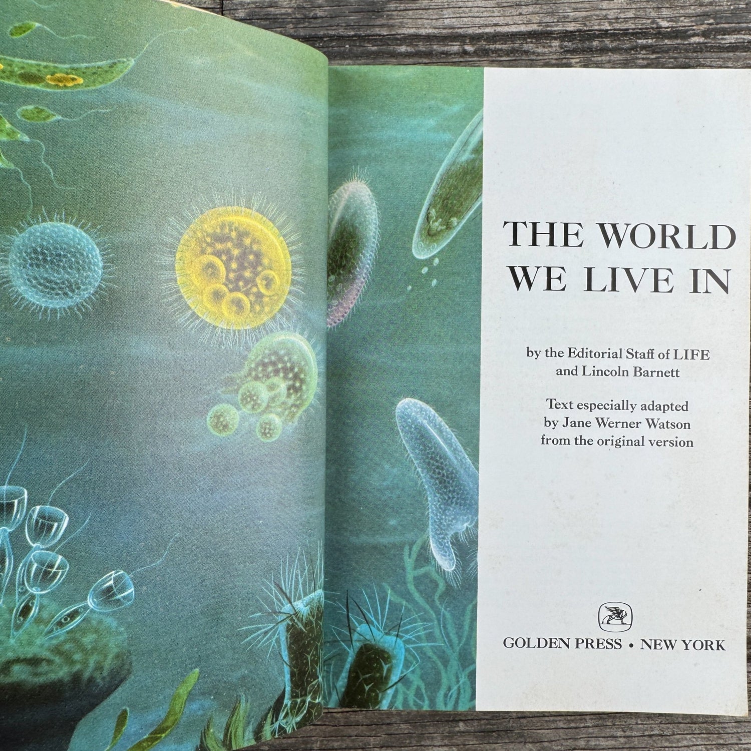 Life: The World We Live In, Paperback, 1967 - Pretty Old Books