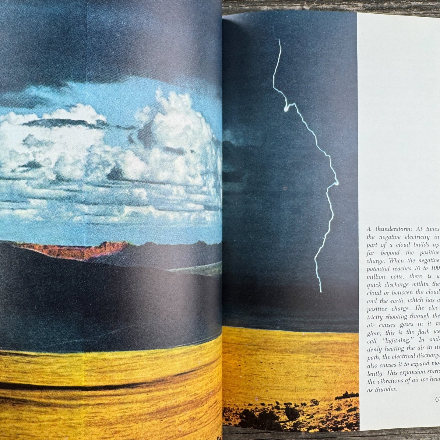 Life: The World We Live In, Paperback, 1967 - Pretty Old Books